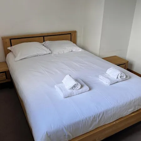 Appartement Of 55 M With Balcony View Mont Blanc *