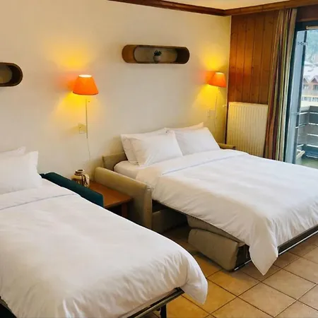 Flat With Balcony View Mont Blanc Parking *