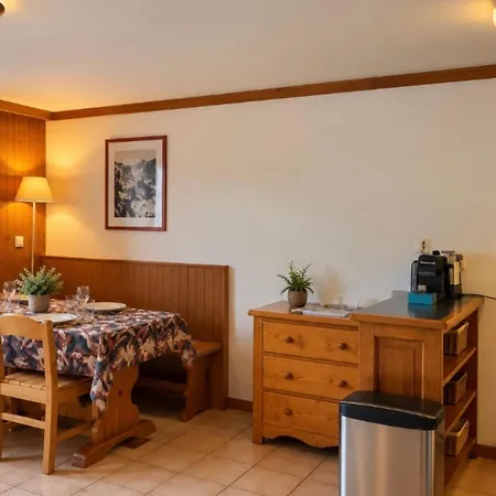 Flat With Balcony View Mont Blanc Parking * Chamonix