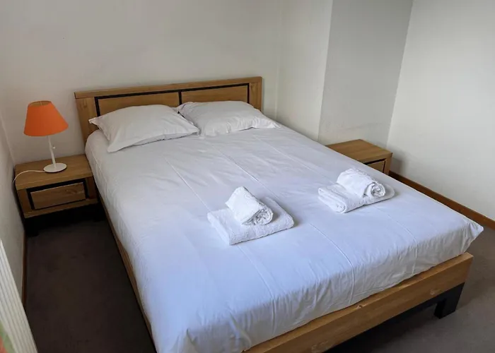 Appartement Of 55 M With Balcony View Mont Blanc *